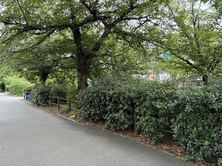 お店の前は新緑が美しい