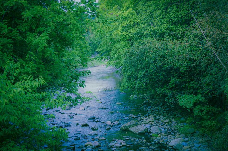 時には流れに身を任せる～